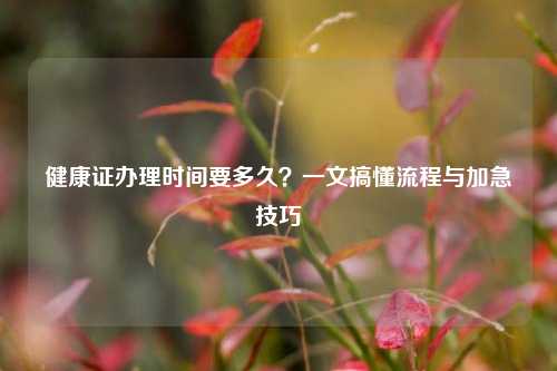 健康证办理时间要多久？一文搞懂流程与加急技巧