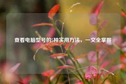 查看电脑型号的5种实用方法,一文全掌握