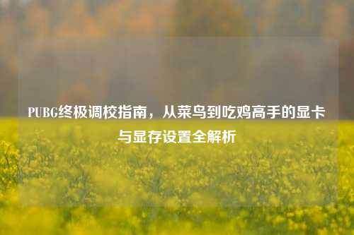 PUBG终极调校指南,从菜鸟到吃鸡高手的显卡与显存设置全解析