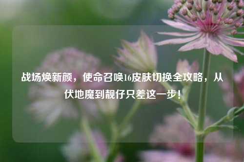 战场焕新颜,使命召唤16皮肤切换全攻略,从伏地魔到靓仔只差这一步!