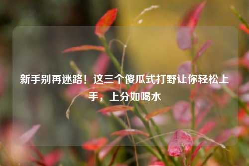 新手别再迷路！这三个傻瓜式打野让你轻松上手，上分如喝水