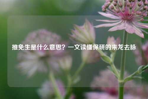 推免生是什么意思?一文读懂保研的来龙去脉