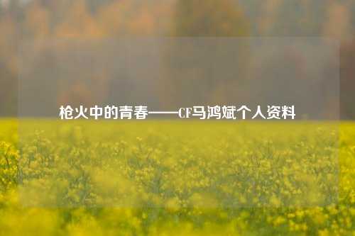 枪火中的青春——CF马鸿斌个人资料