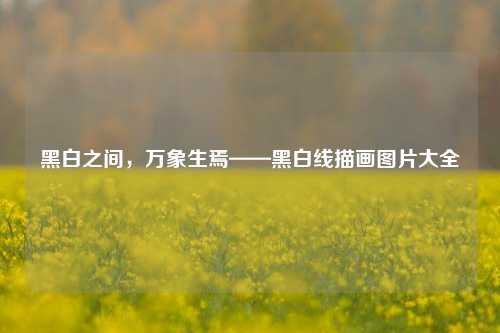 黑白之间，万象生焉——黑白线描画图片大全