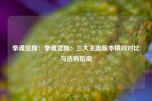 拳魂觉醒：拳魂觉醒：三大主流版本横向对比与选购指南