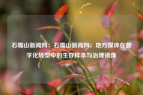 石嘴山新闻网:石嘴山新闻网:地方媒体在数字化转型中的生存样本与治理镜像