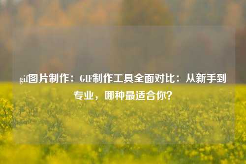 gif图片制作:GIF制作工具全面对比:从新手到专业,哪种最适合你?
