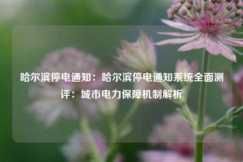 哈尔滨停电通知：哈尔滨停电通知系统全面测评：城市电力保障机制解析
