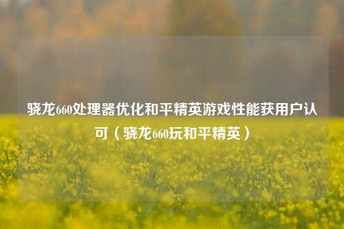 骁龙660处理器优化和平精英游戏性能获用户认可(骁龙660玩和平精英)