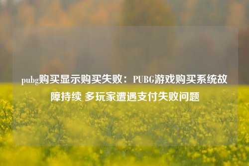 pubg购买显示购买失败：PUBG游戏购买系统故障持续 多玩家遭遇支付失败问题