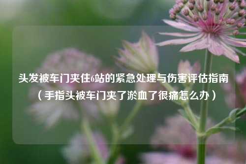 头发被车门夹住6站的紧急处理与伤害评估指南（手指头被车门夹了淤血了很痛怎么办）