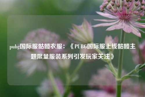 pubg国际服骷髅衣服：《PUBG国际服上线骷髅主题限量服装系列引发玩家关注》