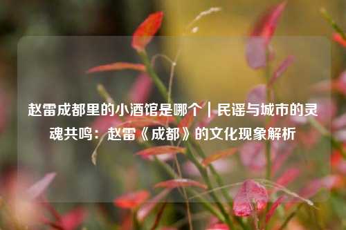 赵雷成都里的小酒馆是哪个|民谣与城市的灵魂共鸣:赵雷《成都》的文化现象解析