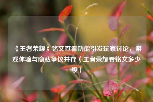 《王者荣耀》铭文查看功能引发玩家讨论,游戏体验与隐私争议并存(王者荣耀看铭文多少级)