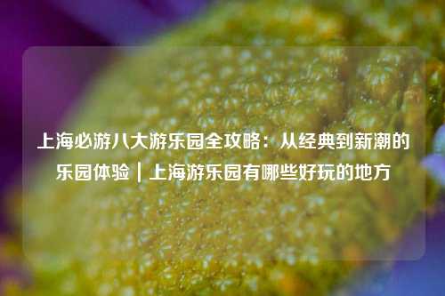 上海必游八大游乐园全攻略：从经典到新潮的乐园体验｜上海游乐园有哪些好玩的地方