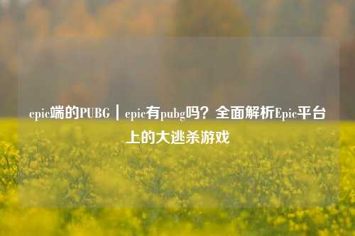 epic端的PUBG｜epic有pubg吗？全面解析Epic平台上的大逃杀游戏