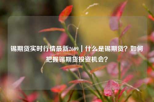 锡期货实时行情最新2609｜什么是锡期货？如何把握锡期货投资机会？