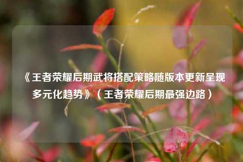 《王者荣耀后期武将搭配策略随版本更新呈现多元化趋势》（王者荣耀后期最强边路）