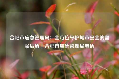 合肥市应急管理局：全方位守护城市安全的坚强后盾｜合肥市应急管理局电话