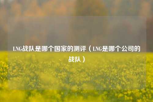 LNG战队是哪个国家的测评（LNG是哪个公司的战队）