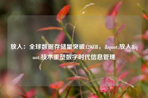 放入：全球数据存储量突破120ZB，"放入"技术重塑数字时代信息管理