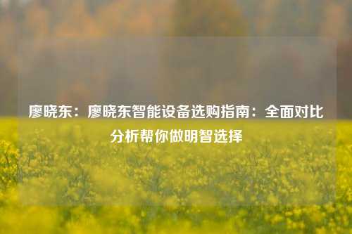 廖晓东：廖晓东智能设备选购指南：全面对比分析帮你做明智选择