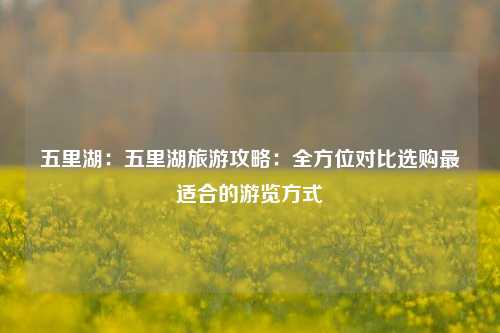 五里湖：五里湖旅游攻略：全方位对比选购最适合的游览方式